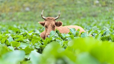 Фото наших Странников