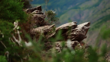Фото нашей Странницы Светланы Соколовой