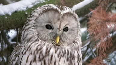 Фото: Andrey Gulivanov, unsplash.com