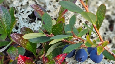 Фото гида Екатерины Синюковой