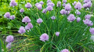 Фото нашего гида Галины Шелудько