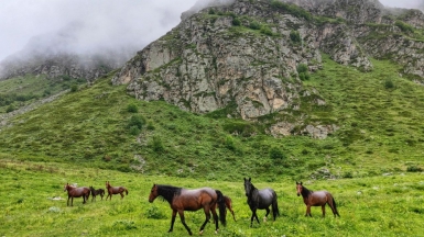 Фото наших Странников