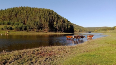 Фото нашего гида Дмитрия Могиленских