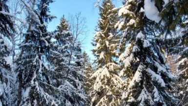 Фото нашего гида Галины Чудновской