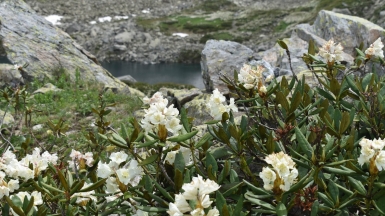 Фото нашего гида Геннадия Скосырева