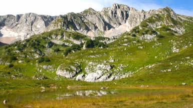 Фото нашего гида Елены Кузура