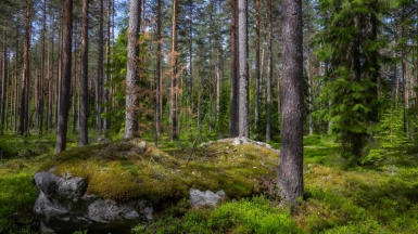 Фото нашего гида Михаила Верёвченко