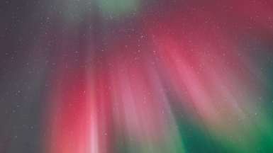 Фото наших партнеров