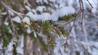 Фото нашего гида Галины Шелудько
