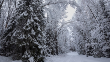 Фото нашего гида Михаила Верёвченко