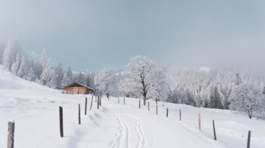 Фото: Raphael Stäger on unsplash