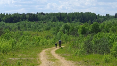Дорога на Моревские карьеры. Фото нашего Странника Андрея Блохина