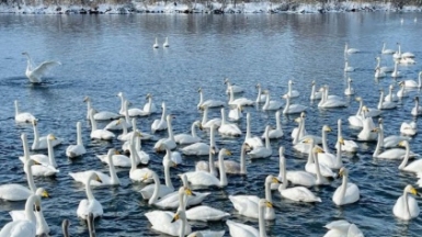 Фото нашего гида Алексея Ильина