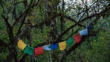 Фото нашего Странника Станислава Дышева