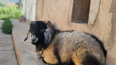 Фото нашей Странницы Татьяны Алексеевой