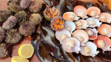 Фото нашего гида Галины Шелудько