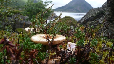 Фото: DavideGorla