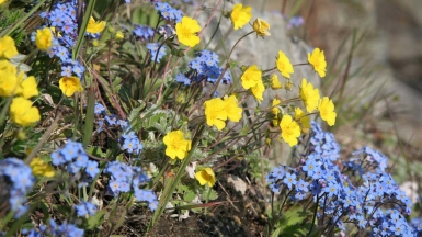 Фото: Магадан, visualhunt.com