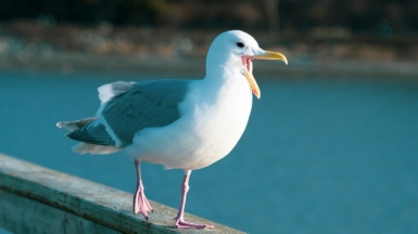 Фото Dan Kb для unsplash.com