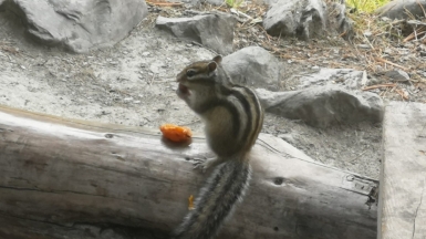 Фото наших Странников