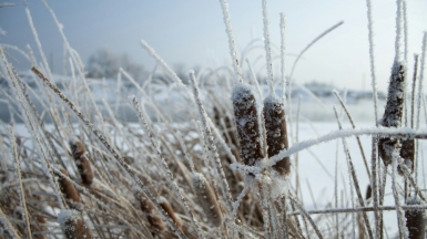 Фото Денис Бояркин для Unsplash