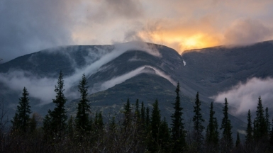 Фото: Андрей Найденов