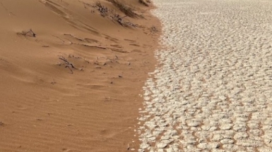 Фото: наш гид Алексей Шорец