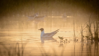 Фото нашего гида Михаила Верёвченко
