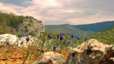 Фото: Anton Bielousov, visualhunt.com