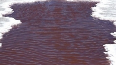 Добыча соли. Фото: наш гид Алексей Шорец