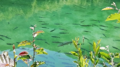 Фото наших Странников