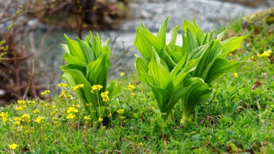 Фото: Alexxx1979, visualhunt.com