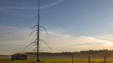 Фото нашего гида Михаила Верёвченко