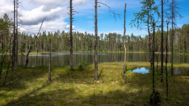 Фото нашего гида Михаила Верёвченко