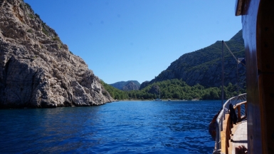 Фото Светланы Тягиной