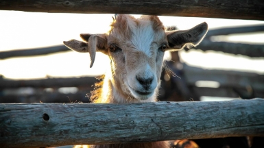 Фото: Vince Gx on Unsplash