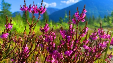 Фото наших Странников