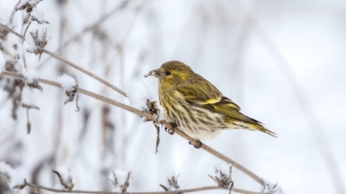 Фото нашего гида Михаила Верёвченко