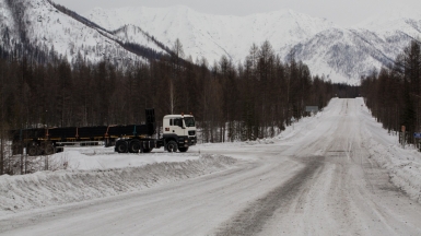 Фото: Михаил Местников
