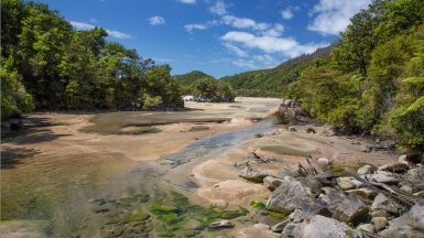 Фото нашей Странницы Татьяны Руновой