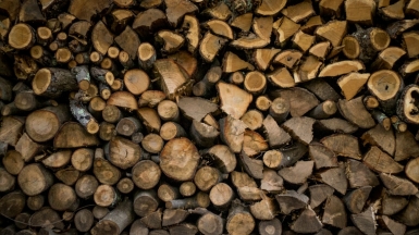 Фото: alex jones on unsplash