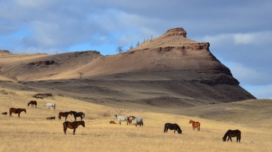Фото Радюк Н.В., экскурсовода музея-заповедника «Сундуки»