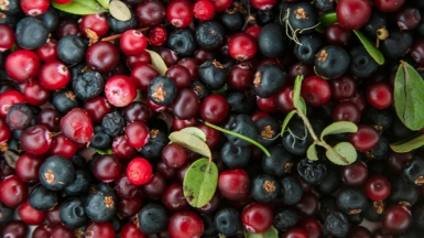 Фото из архива Клуба