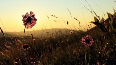 Фото наших Странников