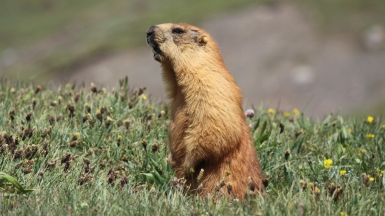 Фото из архива Клуба