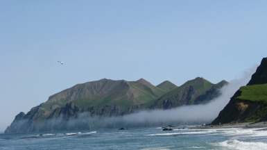 Фото: SuricataJ, wikimedia.org