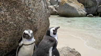 Фото: гид Алексей Шорец