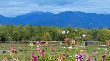 Фото нашего Странника Бориса Полынкина