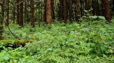 Фото наших Странников