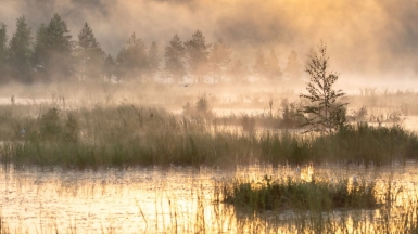 Фото нашего гида Михаила Верёвченко